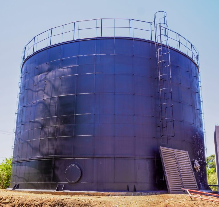 WhatsApp Image 2025-12-18 at 11.11.26(3)